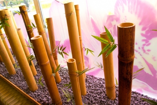 Entrance Mandarin Spa Nijmegen location (5)